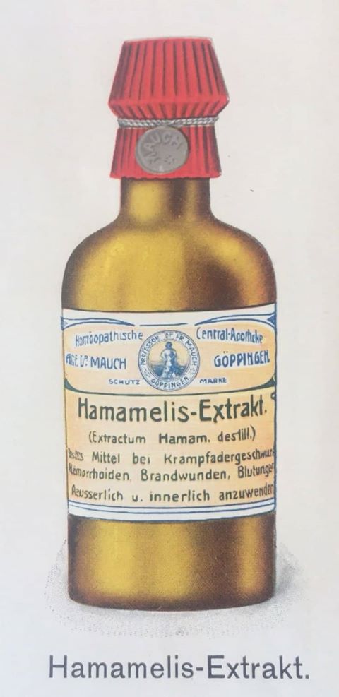 Hamamelis-Extrakt
aus der Preisliste der Hmöopathischen Centralapotheke
© melli Bäurle